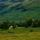 Schottland LXI - Glen Nevis