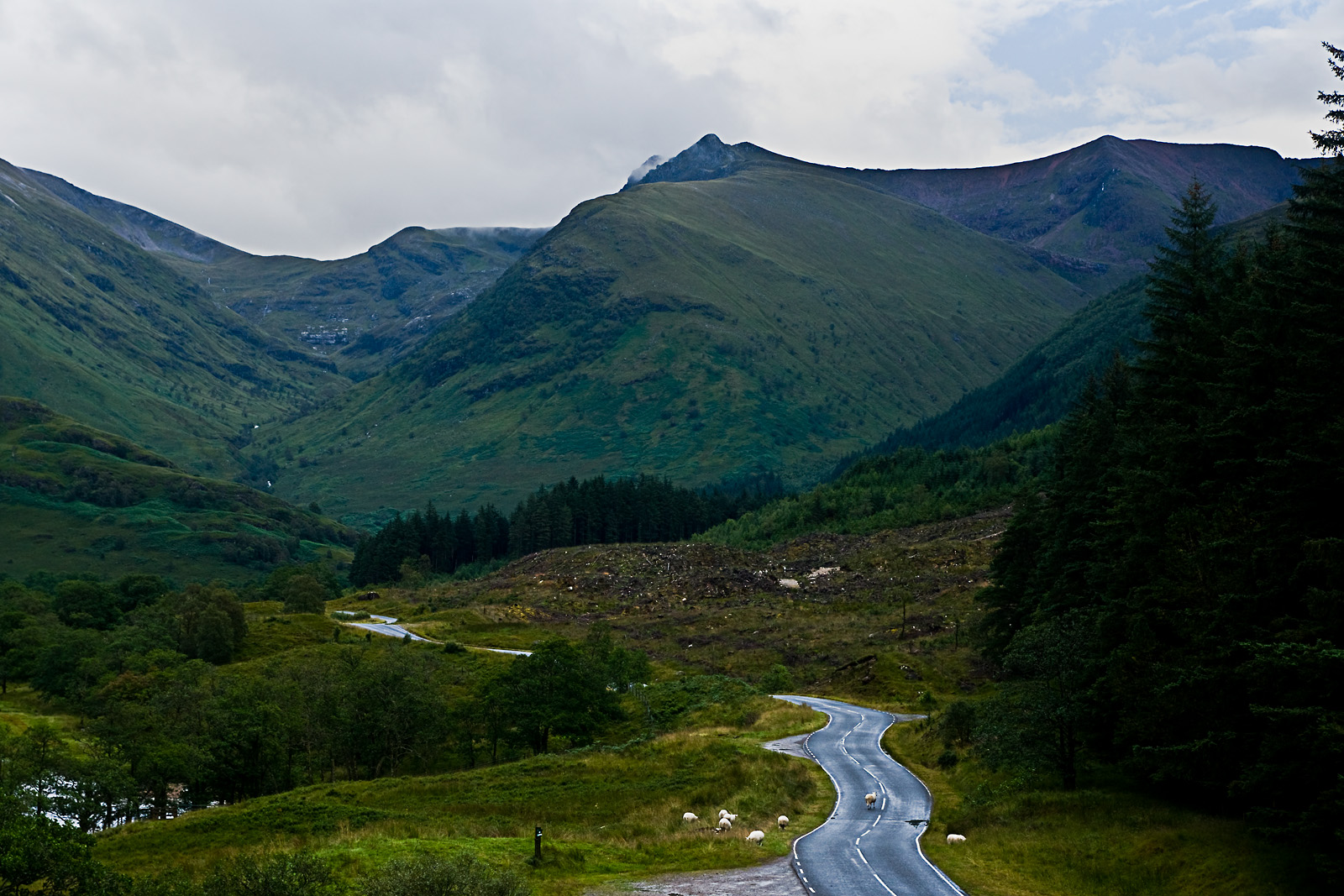 Schottland LXIV - Glen Nevis