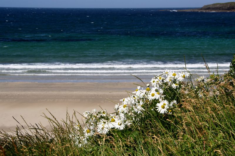 Schottland: Orkney-Inseln (5) - Traumstrand