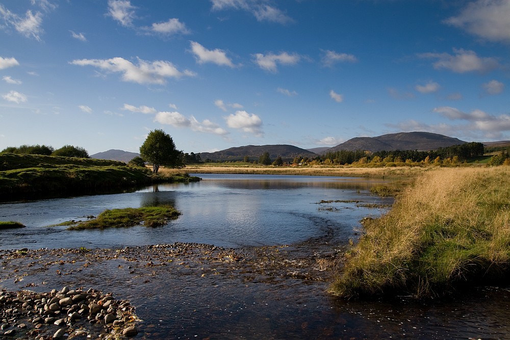 Schottland - River Spey