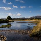 Schottland - River Spey