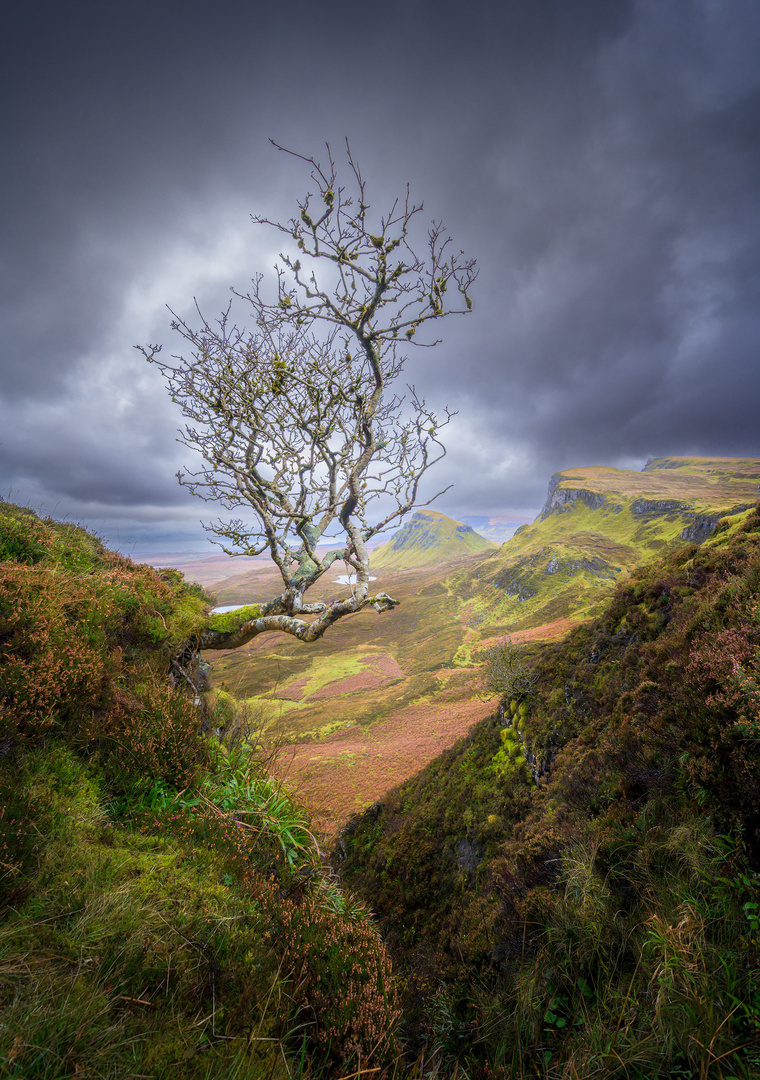 Schottland - Skye - Quiraing