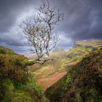 Schottland - Skye - Quiraing