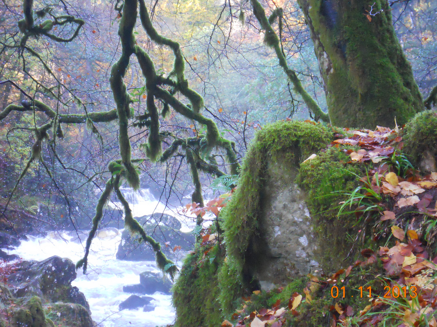 Schottland The Hermitage