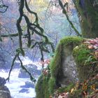 Schottland The Hermitage