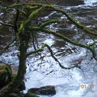 Schottland The Hermitage