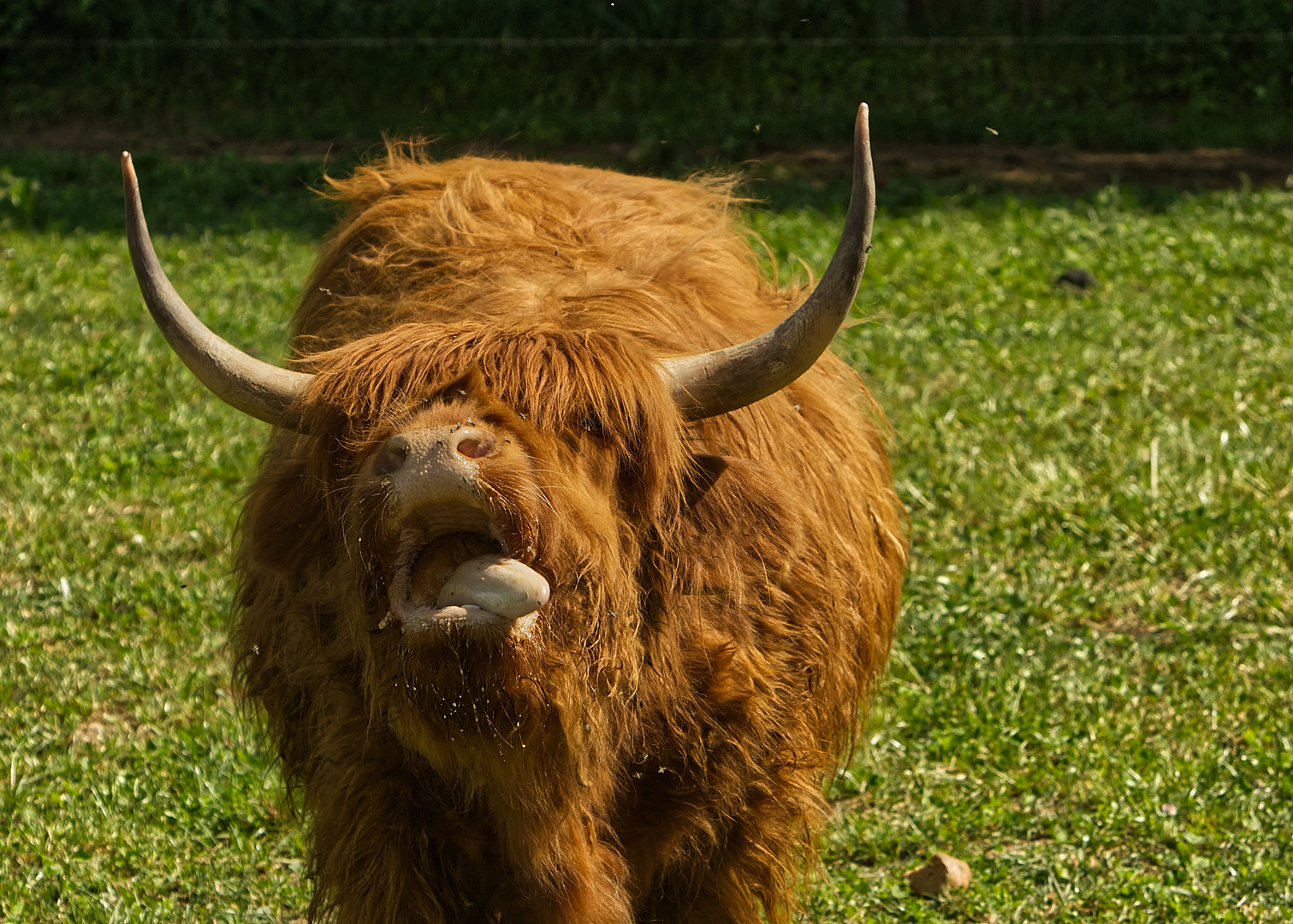 Schottland wäre mir jetzt lieber.........