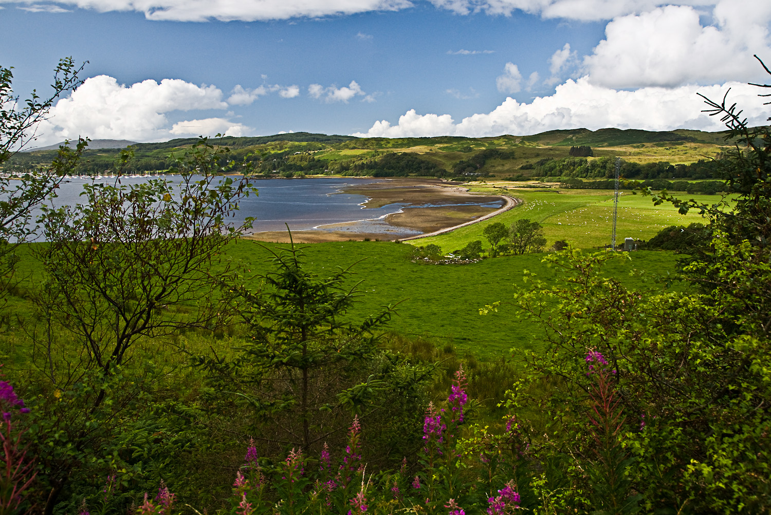 Schottland XVIII - bei Oban