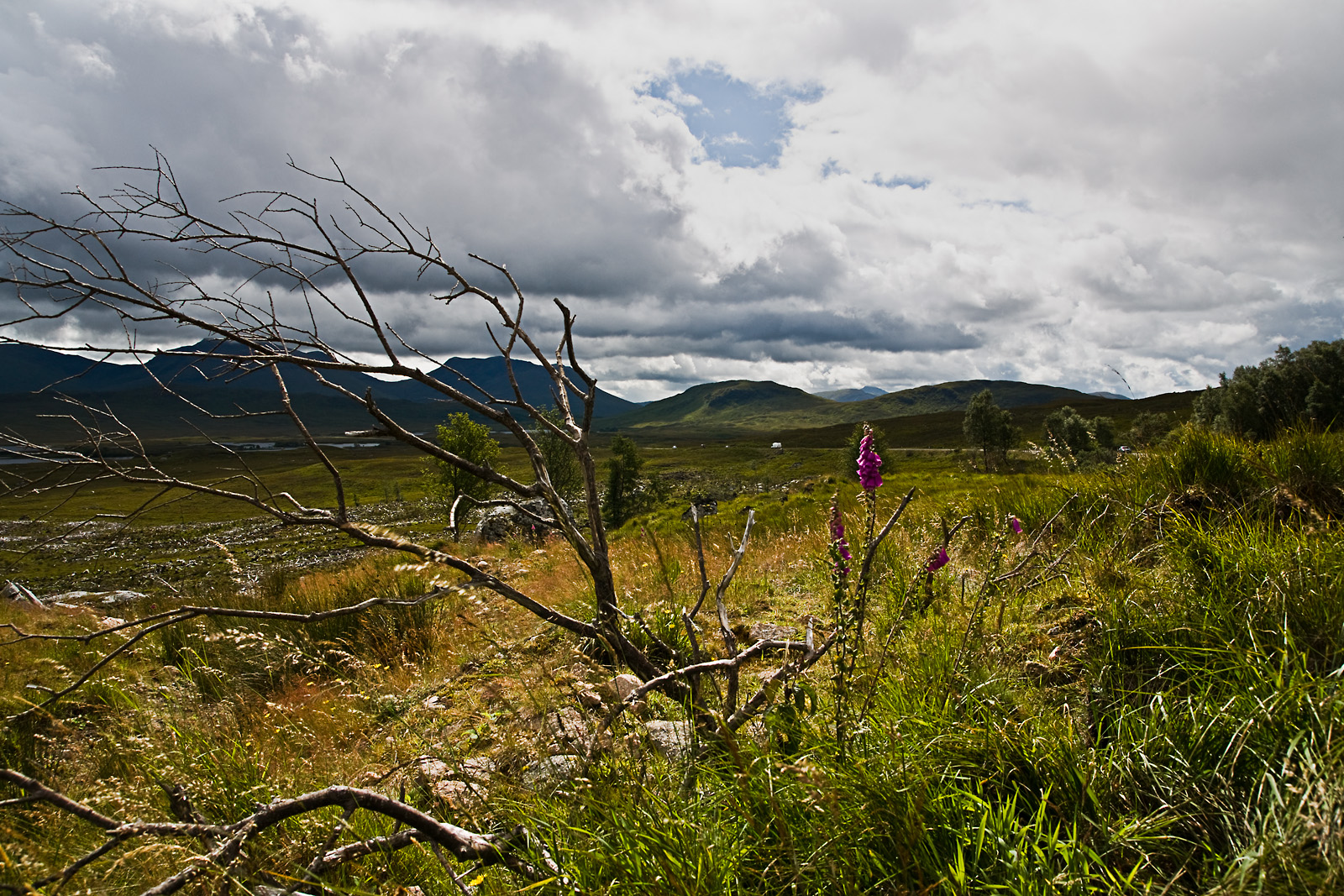 Schottland XXXIII - Rannoch Moor