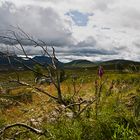 Schottland XXXIII - Rannoch Moor