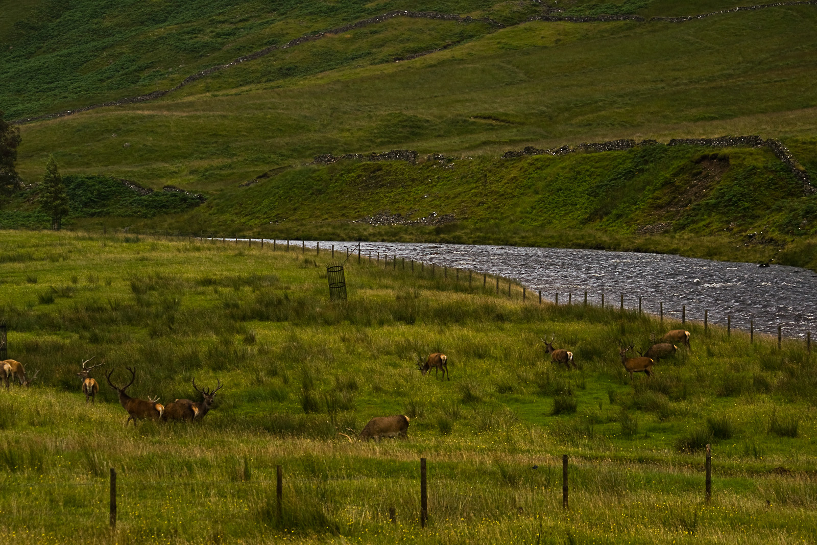 Schottland XXXVI - Glen Etive