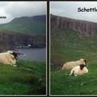 Schottland...mehr als eine Reise