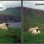 Schottland...mehr als eine Reise