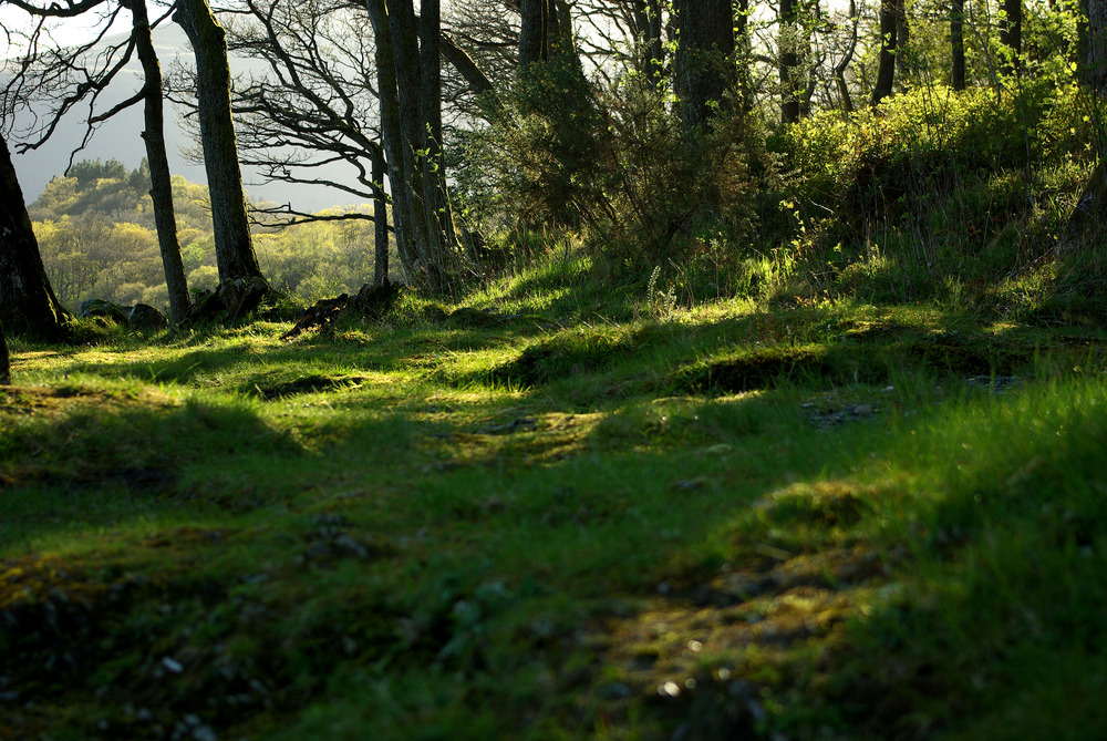 Schottlands Natur...mystische Welten