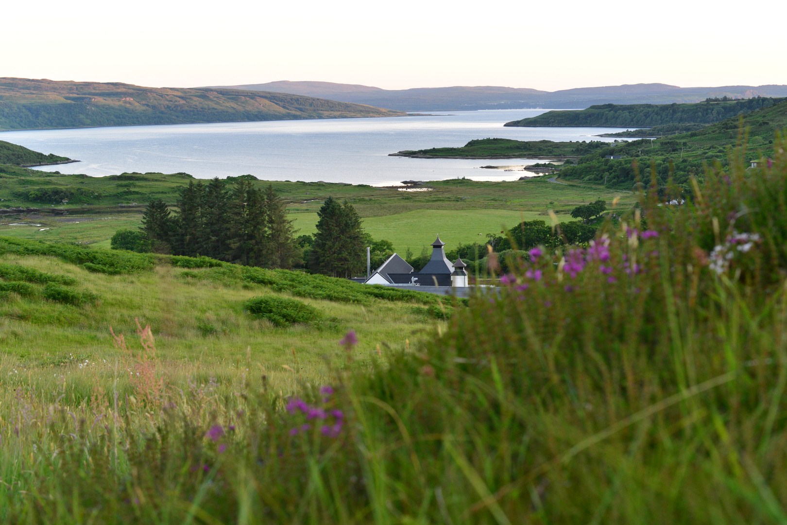 Schottlands neueste Destillerie - Westküste/Loch Sunart