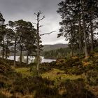 Schottlands ursprüngliche Natur