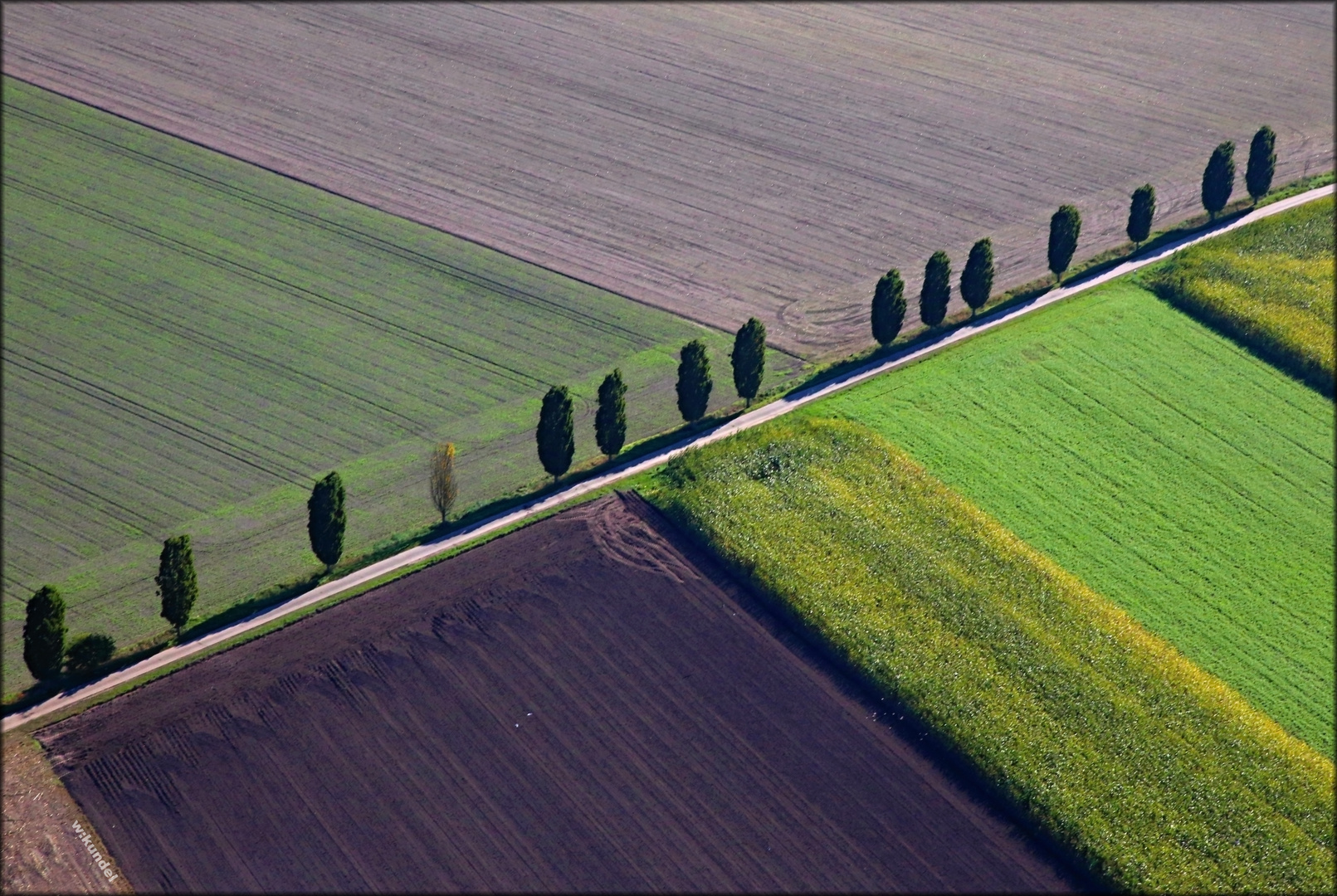 schräg am Feld