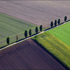 schräg am Feld