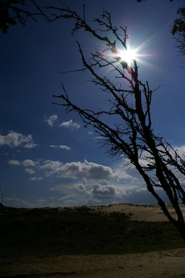 schräg in der Sonne