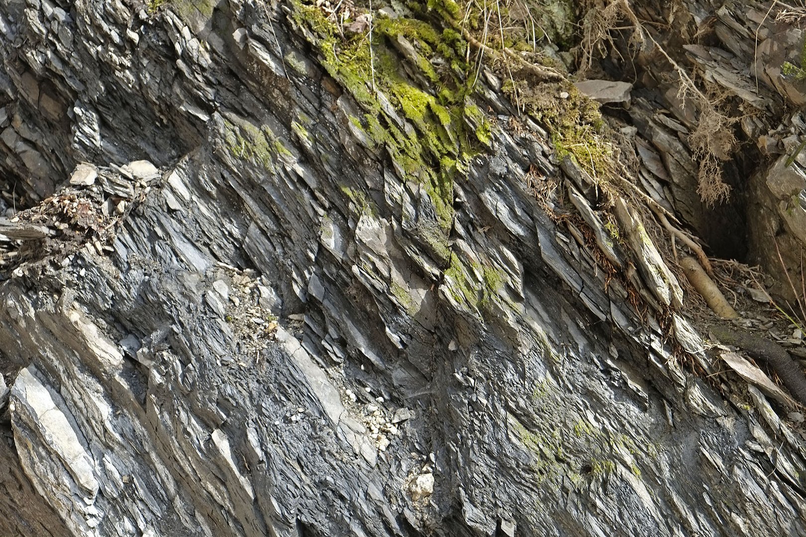 Schräg liegende Schiefergesteinsformationen im Rothaargebirge