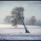 schräge Landschaft im Winter..:)