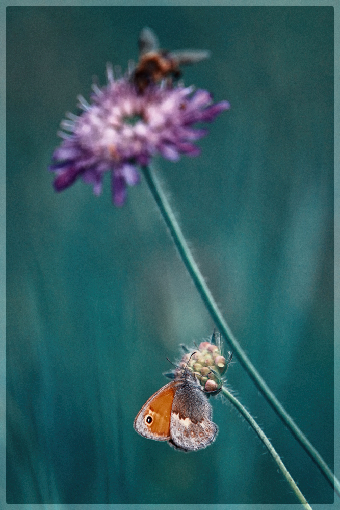 schräge.Farben