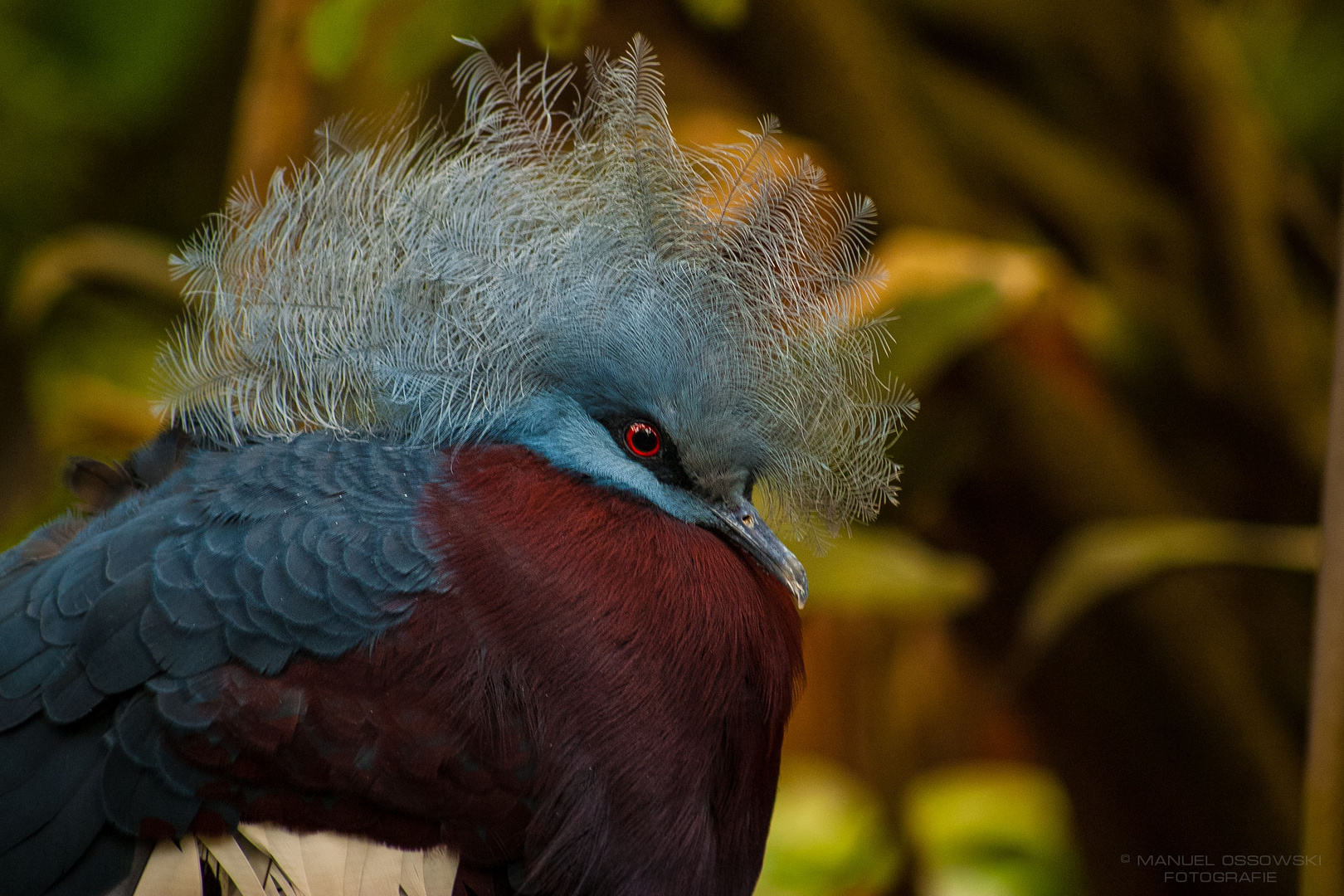 Schräger Vogel