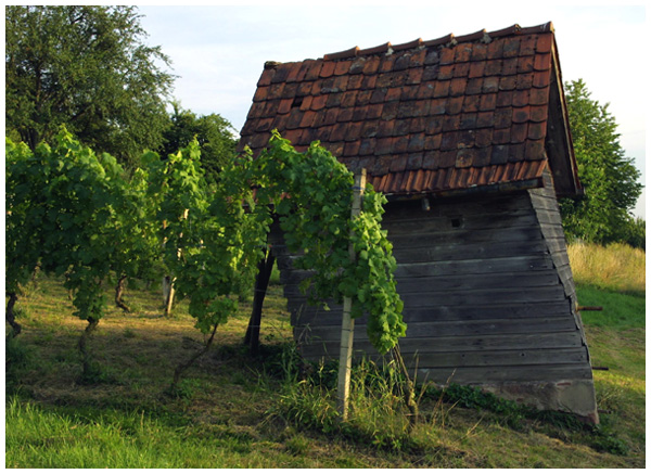 Schräges Haus (in Zunsweier)