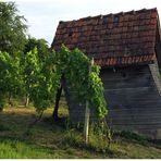 Schräges Haus (in Zunsweier)