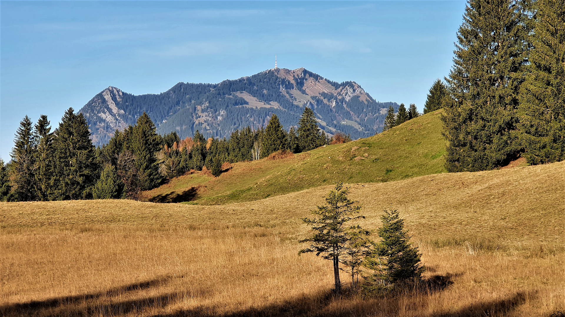 Schräges Herbstlicht