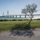 Schrägseilbrücke Farøbroerne