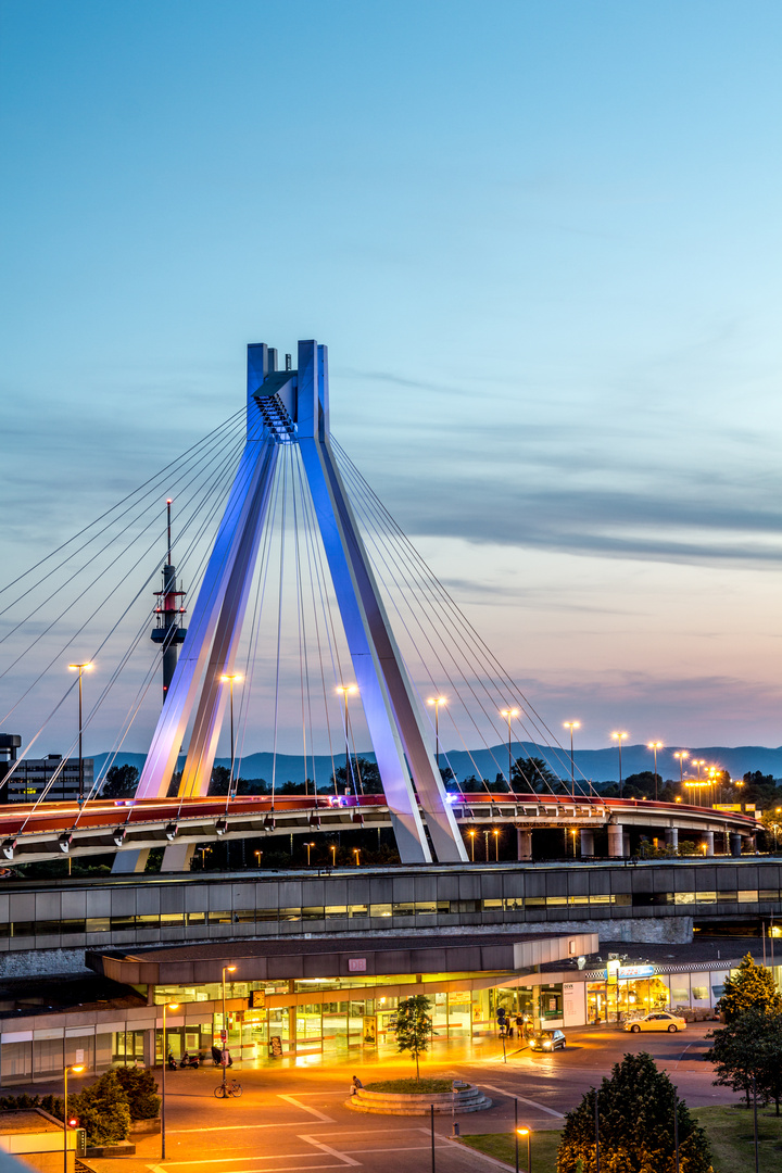 Schrägseilbrücke Ludwigshafen