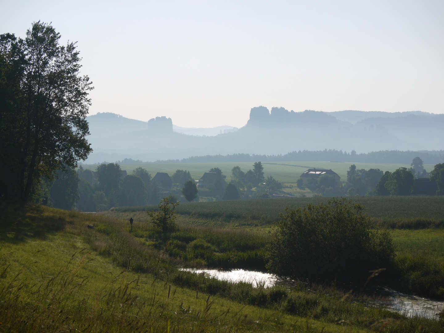 Schrammsteine im Morgendunst