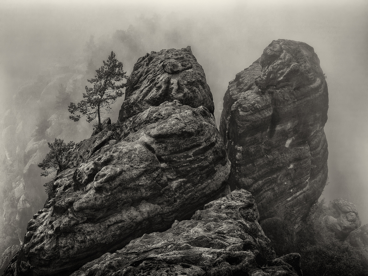 Schrammsteine im Morgennebel