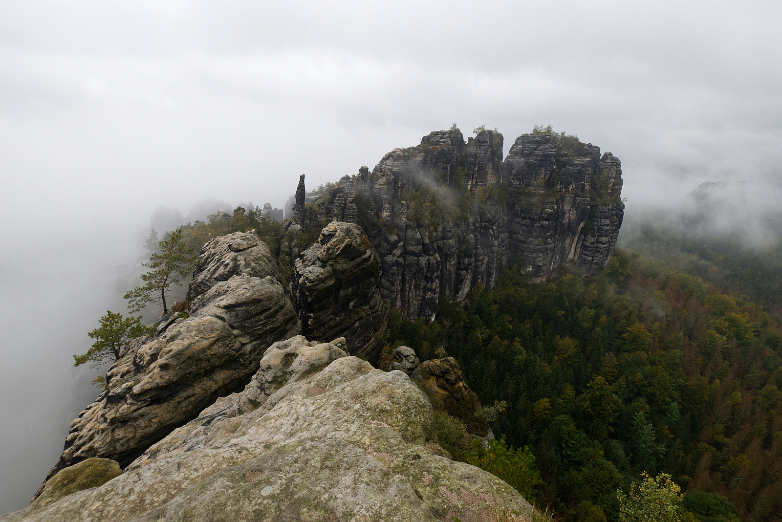 Schrammsteine im Nebel