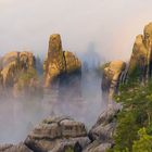 Schrammsteine im Nebel