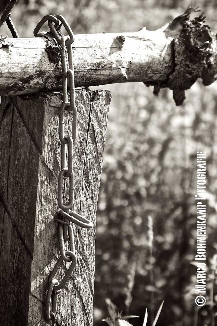 Schranke im Wald