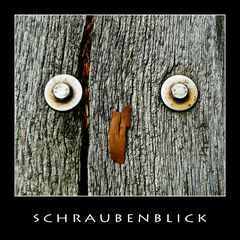 Schraubenblick