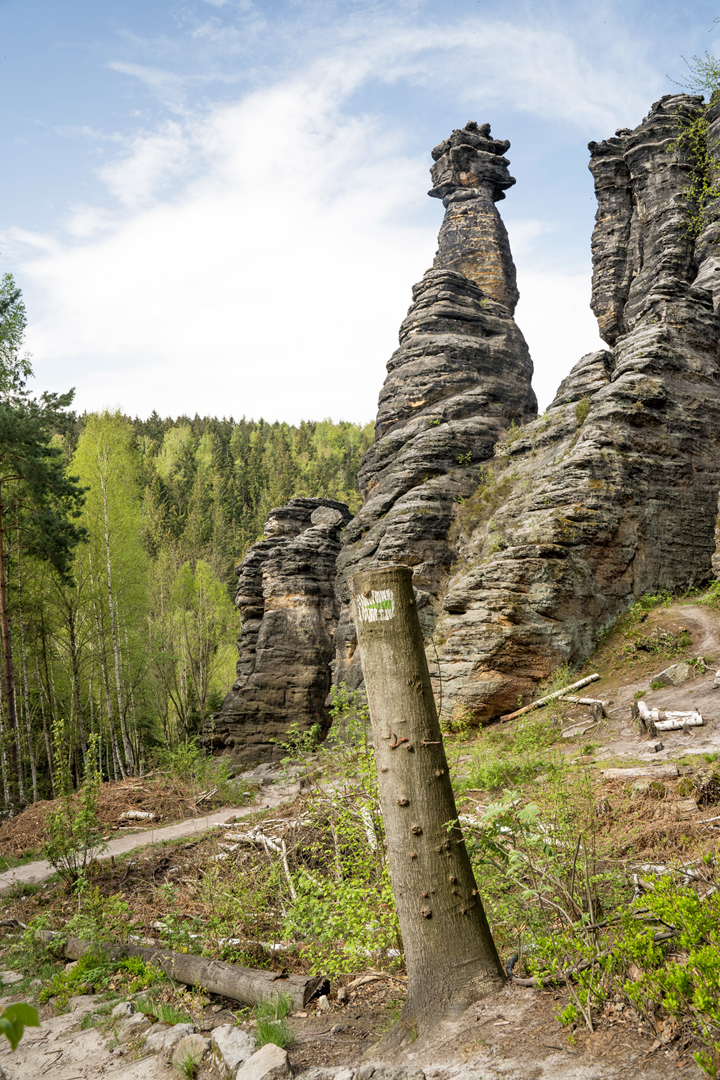 Schraubenkopf ...