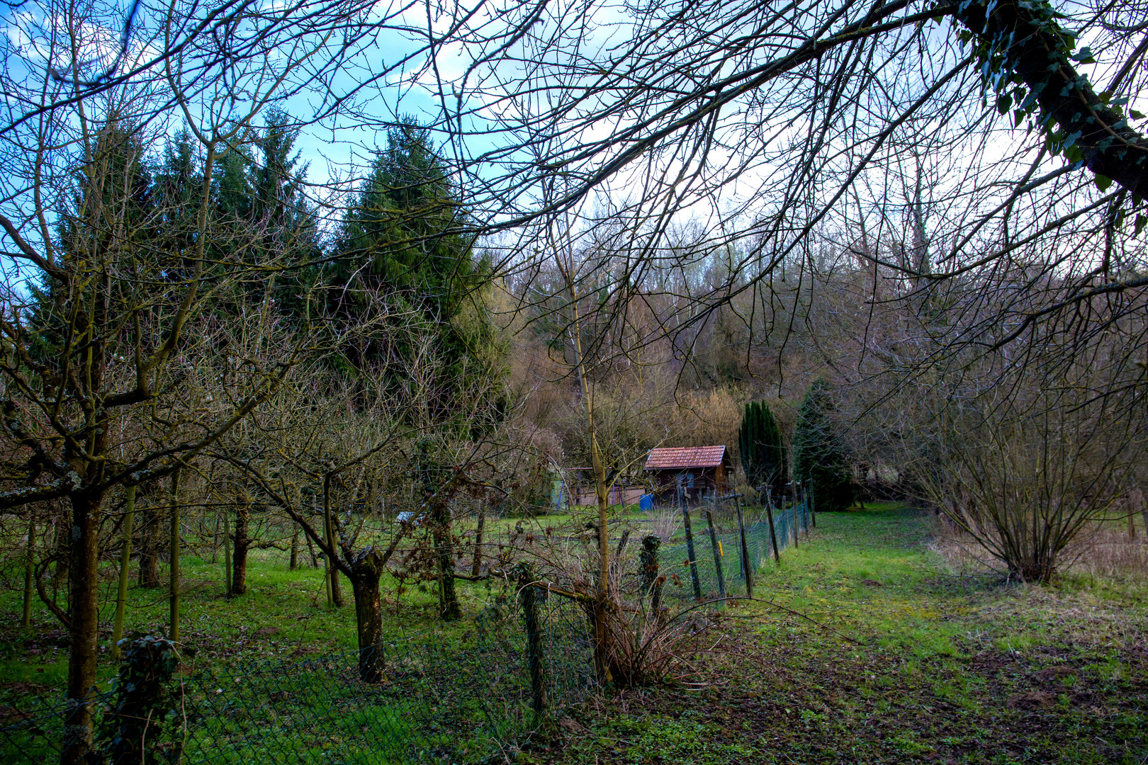 Schrebergarten