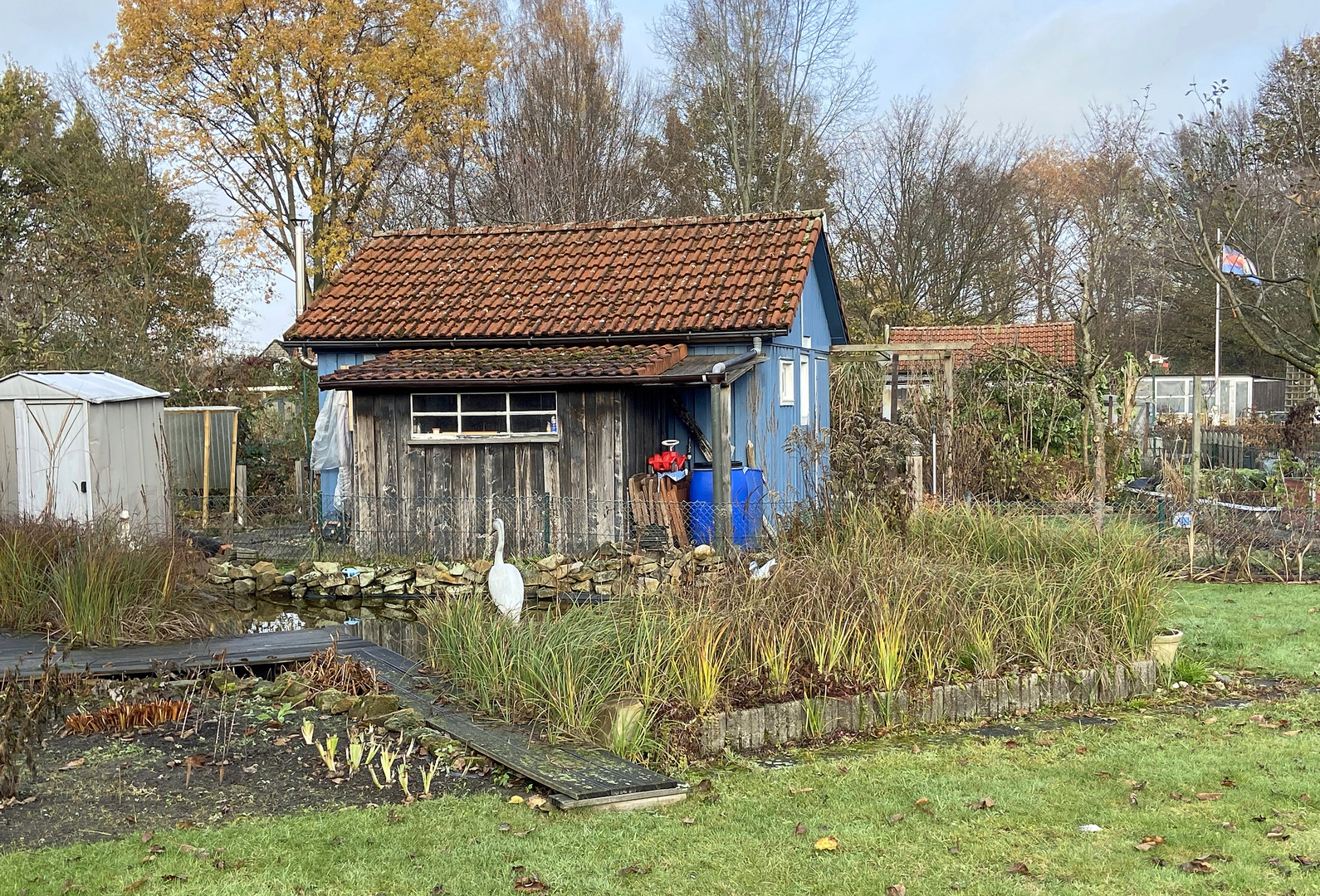 Schrebergarten