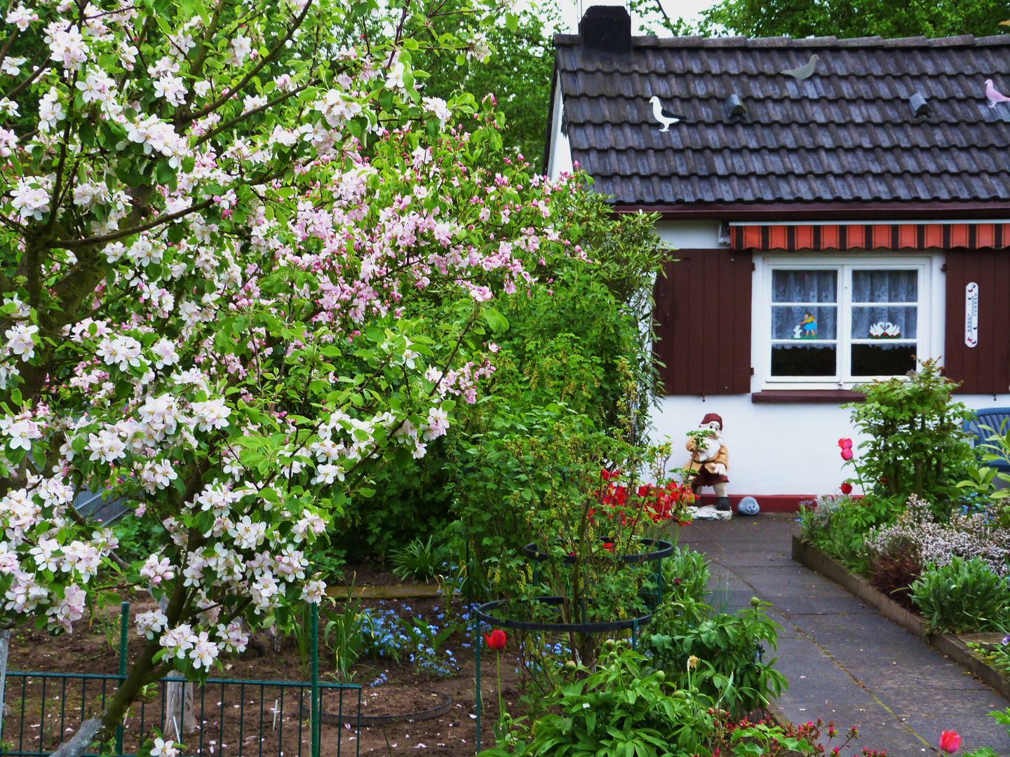 Schrebergarten-Idylle