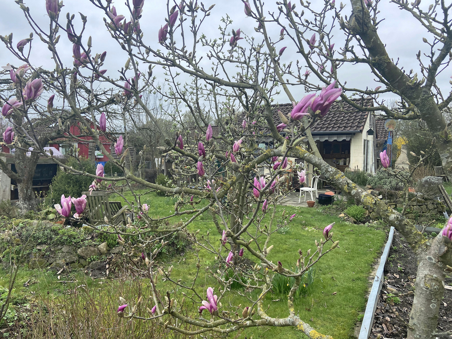 Schrebergarten im April