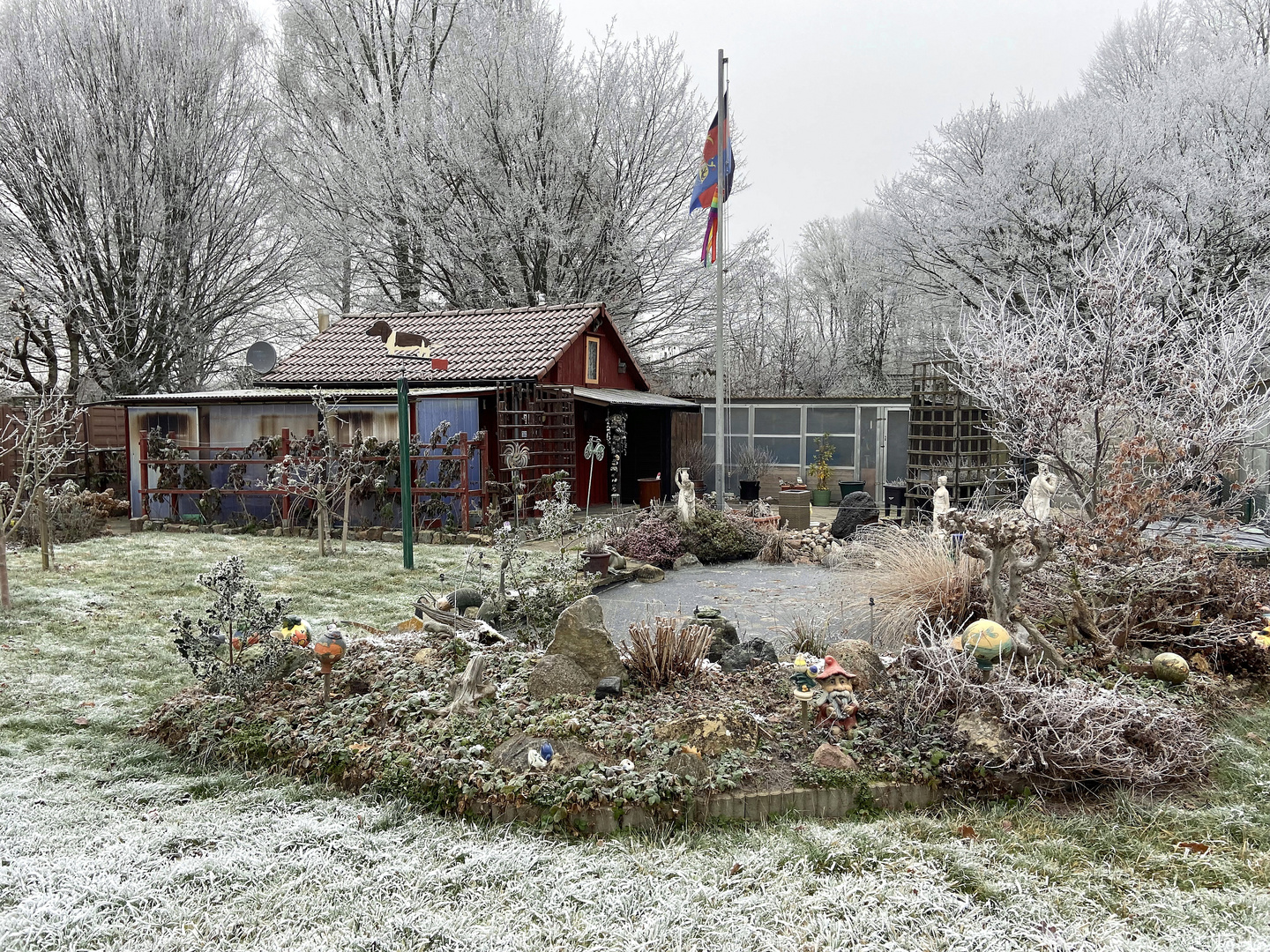 Schrebergarten im Dezember