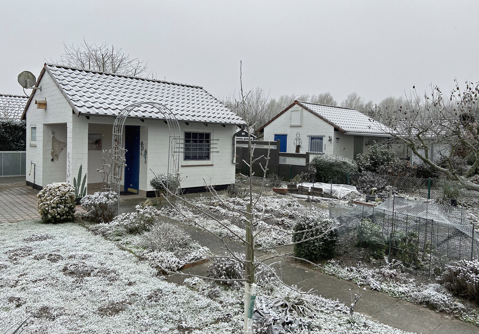 Schrebergarten im Dezember