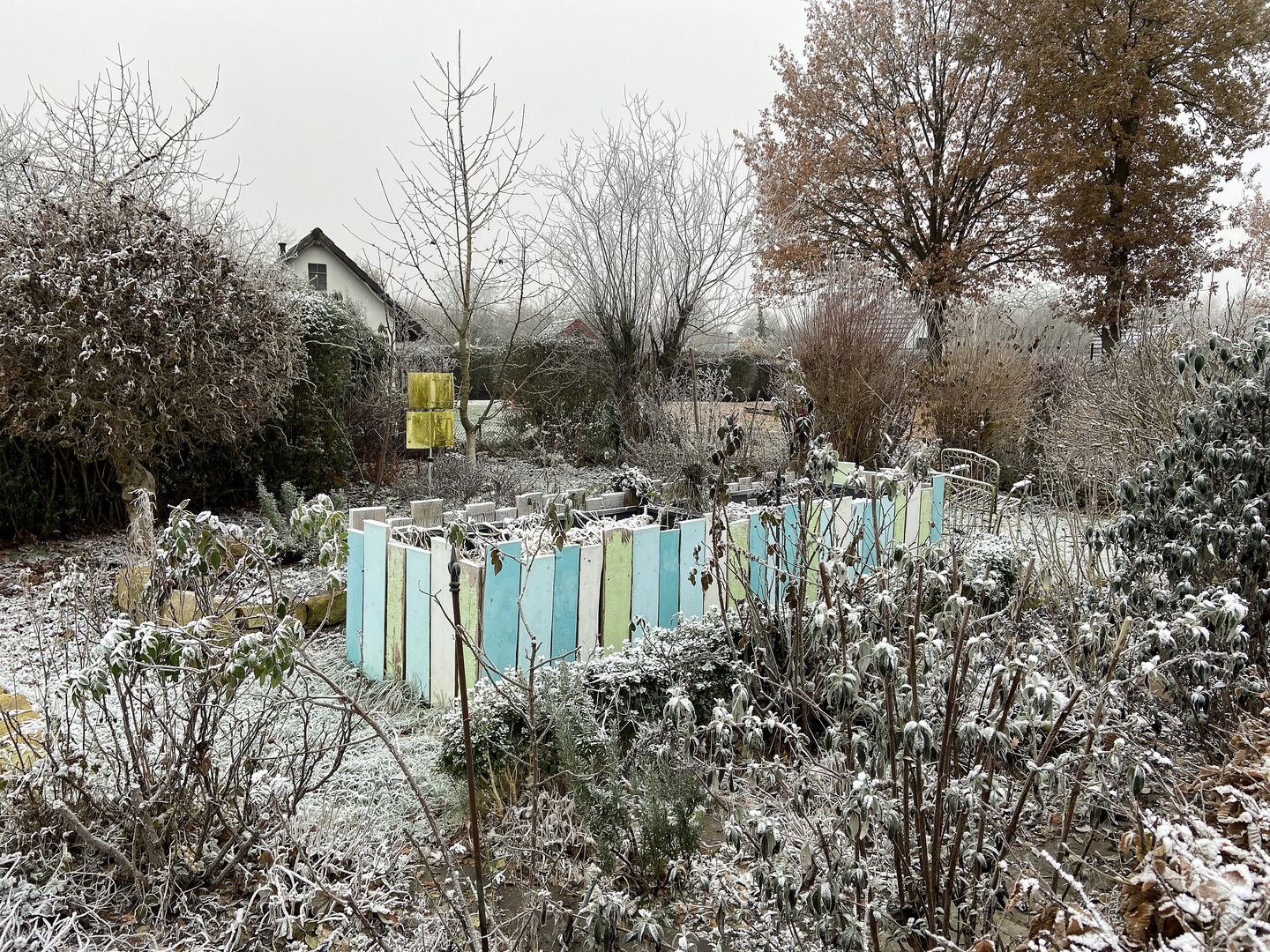 Schrebergarten im Reif