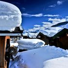 Schrebergarten im Winter