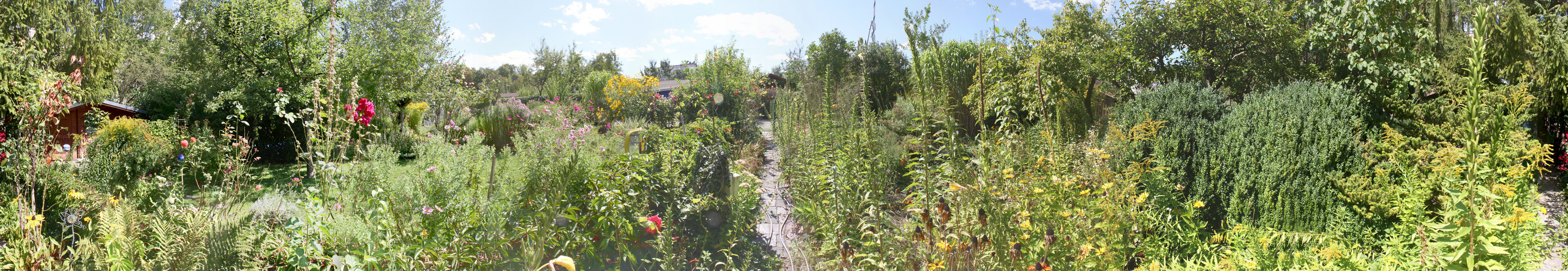 Schrebergarten Paradies