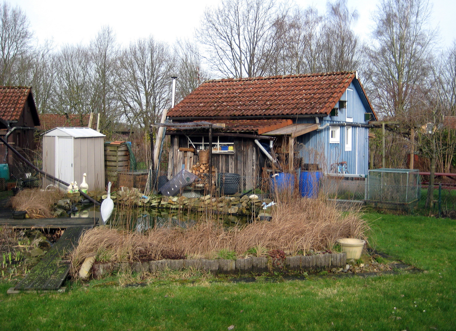 Schrebergartenidylle im Februar 