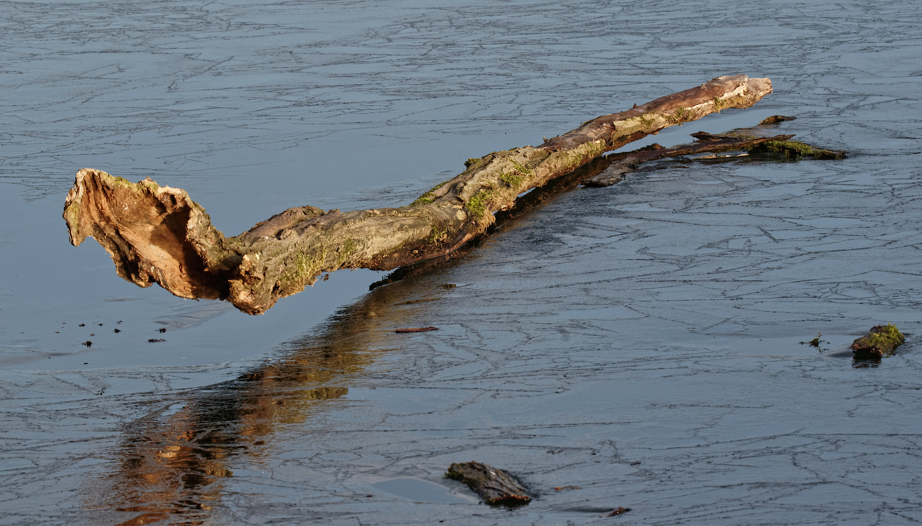 Schreck an der Maas